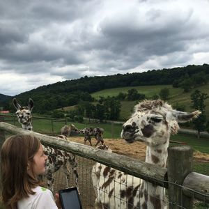 Meet your Posher, Paula